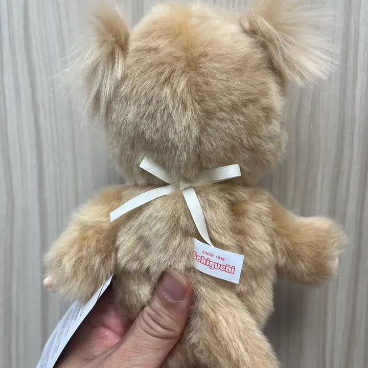 [BUNJANG] Monchhichi Sweet Sugar Doll New / 몬치치 스위트슈가 새상품 인형