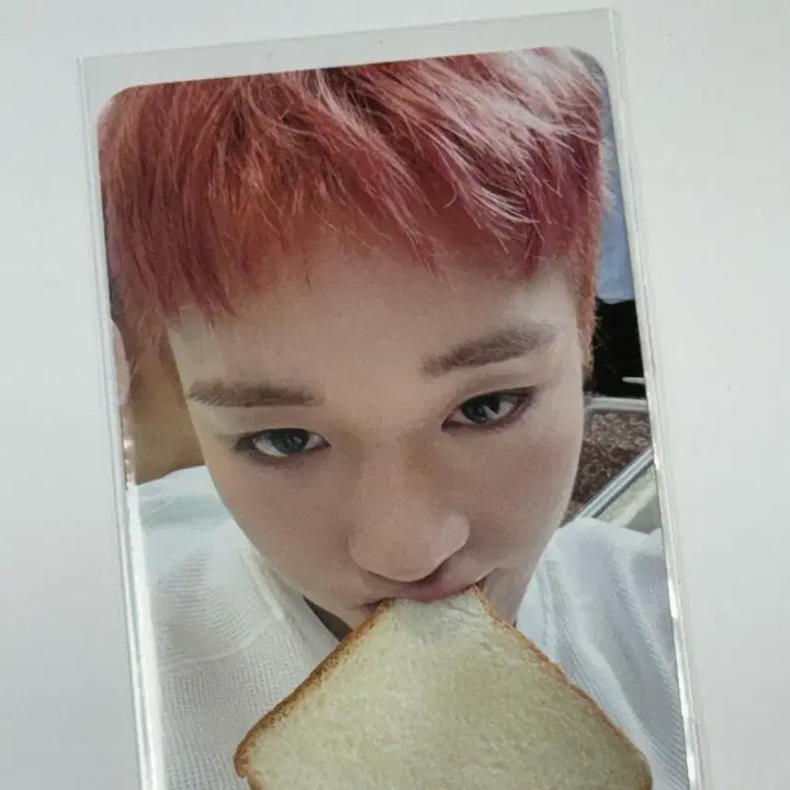 [BUNJANG] Park Ji Hoon Reflect Music &amp; Drama POB (Bread Photocard) / 박지훈 리플렉트 뮤직앤드라마 미공포 식빵포카