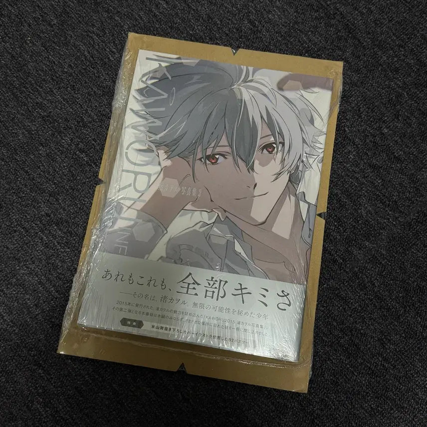 [BUNJANG] Neon Genesis Evangelion Kaoru Nagisa INFINITY Photobook / 나기사 카오루 사진집2 신세기 에반게리온 KAWORU INFINITY