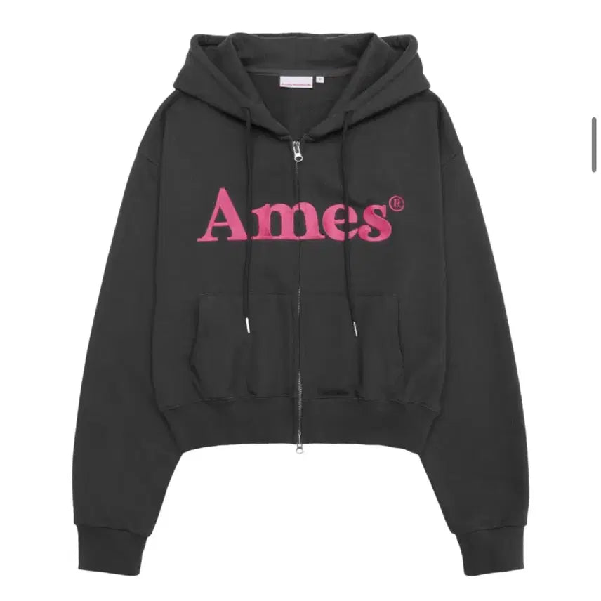 [BUNJANG] AMESS WORLDWIDE Charcoal Cropped Hoodie Zip-Up / 무신사 아메스 월드와이드 차콜 후드집업 크롭