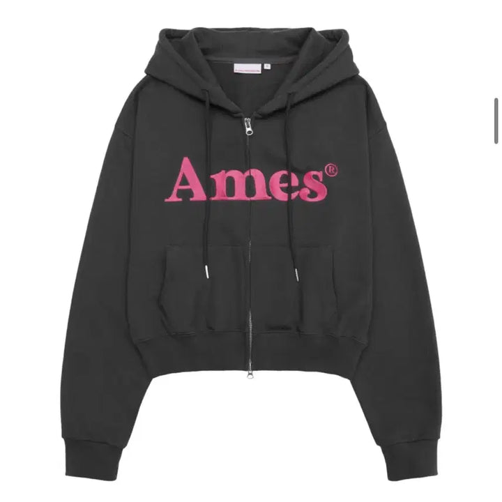 [BUNJANG] AMESS WORLDWIDE Charcoal Cropped Hoodie Zip-Up / 무신사 아메스 월드와이드 차콜 후드집업 크롭