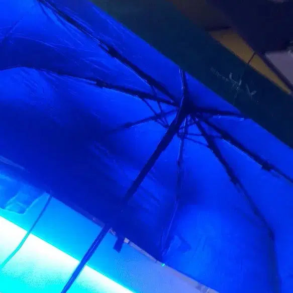 [BUNJANG] UV Protection Green Umbrella / UV 차단 초록색 우산