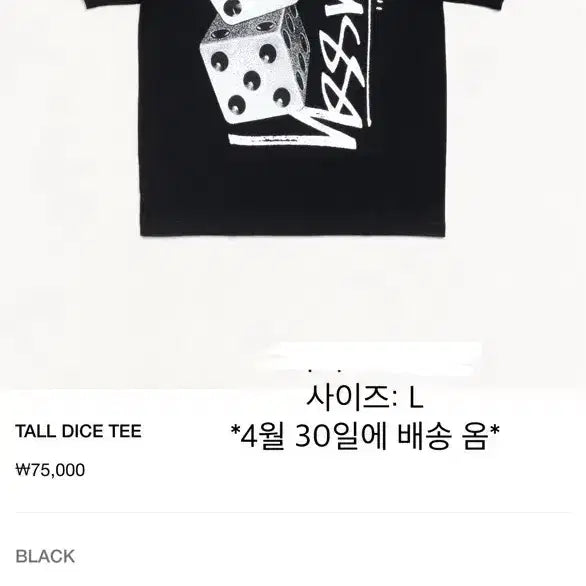 [BUNJANG] Stussy Short Sleeve T-Shirt / 스투시 반팔