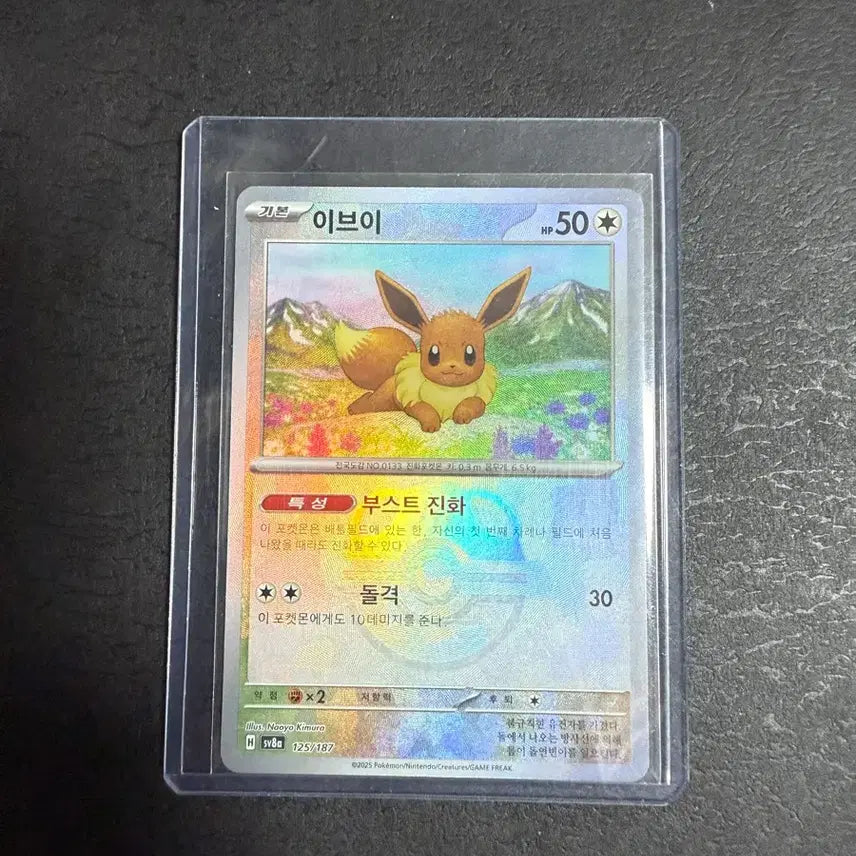 [BUNJANG] EV Master Ball Card / 이브이 마스터볼 카드 팝니다