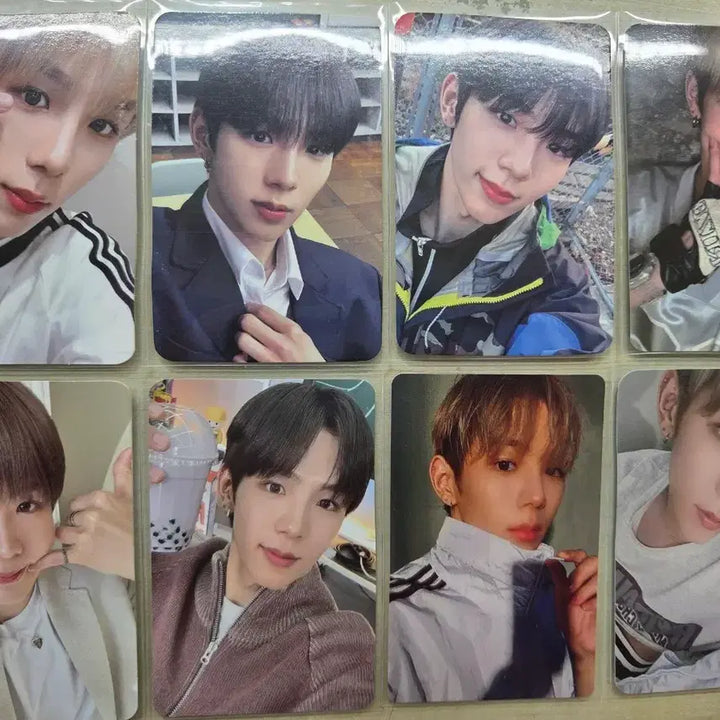 [BUNJANG] RIIZE Shotaro Bundle Set Photocard / 라이즈 쇼타로 포카 일괄