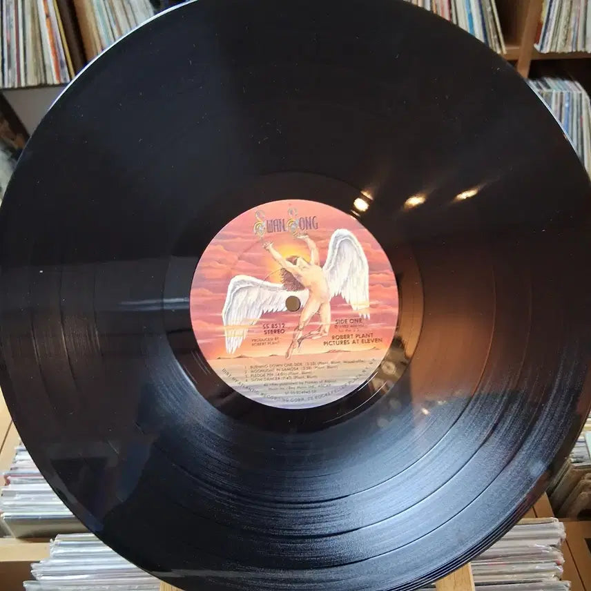 [BUNJANG] Robert Plant Pictures at Eleven LP / 로버트 플랜트 Pictures at Eleven LP