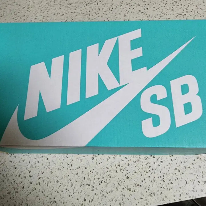 [BUNJANG] Nike SB Alleyoop (GS) Sneakers / 나이키 sb 앨리웁 (GS) 250mm