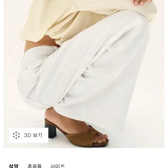 [BUNJANG] Zara Chunky Heel Suede Mule Sandals / 자라 청키힐 스웨이드 뮬 샌들