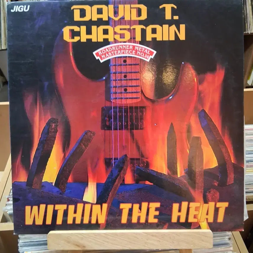 [BUNJANG] David Chesney Within The Heat LP / 데이비드 채스테인 Within The Heat LP