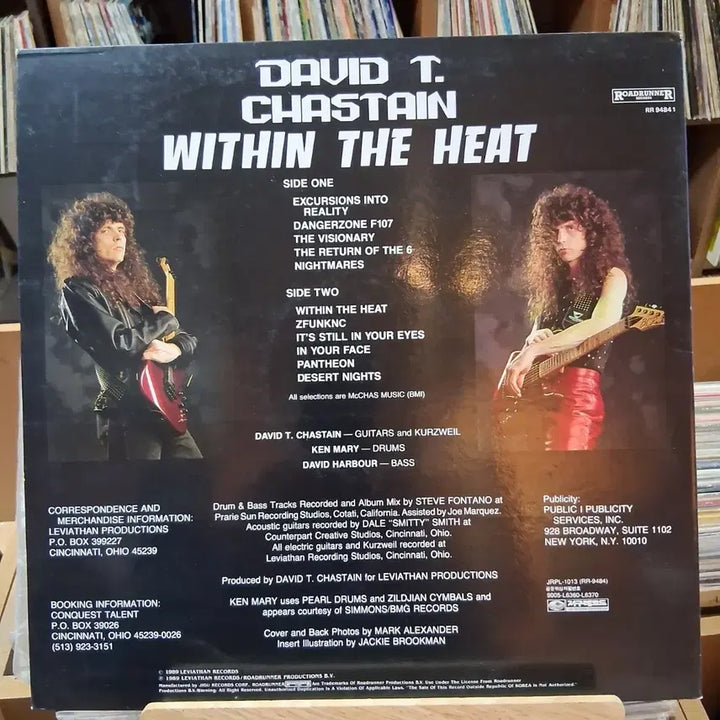 [BUNJANG] David Chesney Within The Heat LP / 데이비드 채스테인 Within The Heat LP