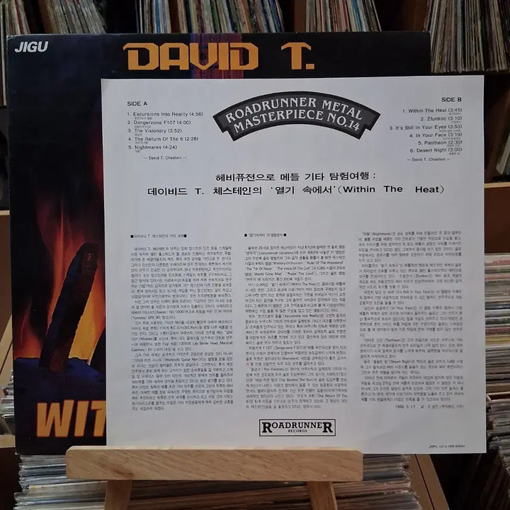 [BUNJANG] David Chesney Within The Heat LP / 데이비드 채스테인 Within The Heat LP