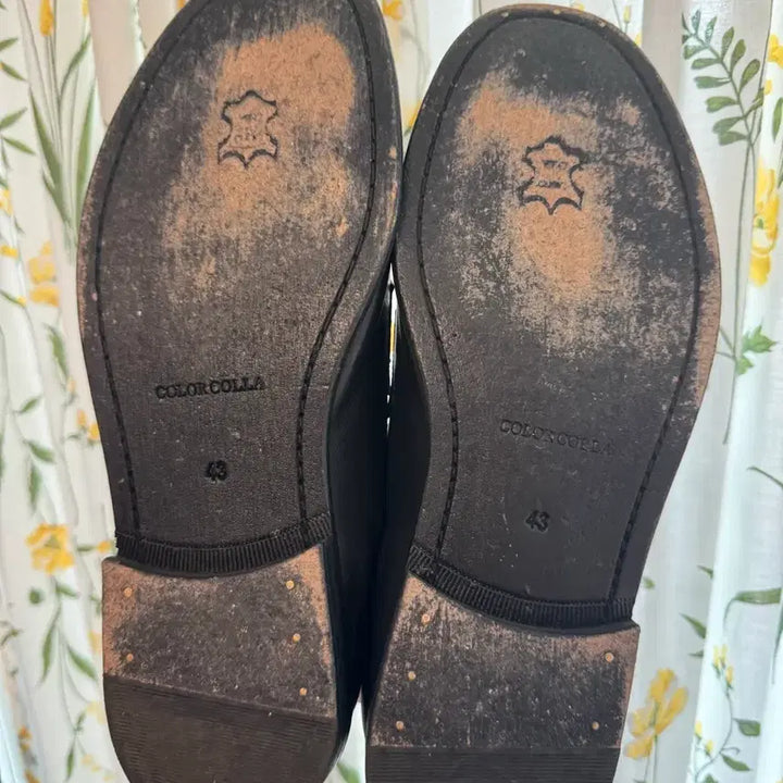 [BUNJANG] Colorculla Leather Penny Loafers / 컬러콜라 말가죽 페니로퍼
