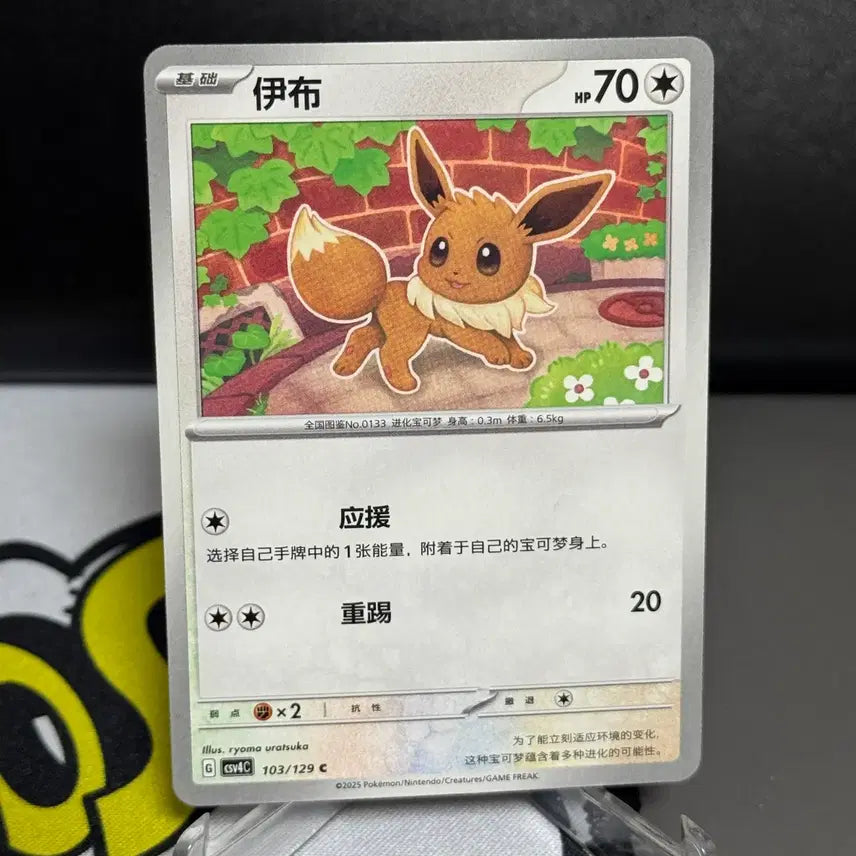 [BUNJANG] Pokemon Card Eevee Normal Card (Mid-Print) / 포켓몬카드 중판 이브이 일반 카드