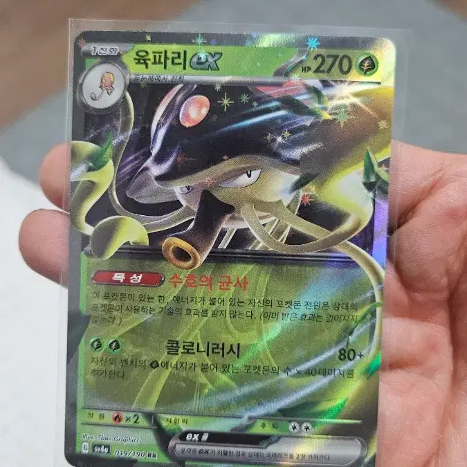 [BUNJANG] Pokemon Card Yanma Double Rare RR / 포켓몬카드 육파리 RR 더블레어 카드 팝니다