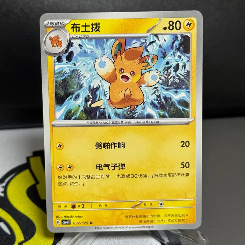 [BUNJANG] Pokemon Card Palmoot Normal Card / 포켓몬카드 중판 빠르모트 일반 카드