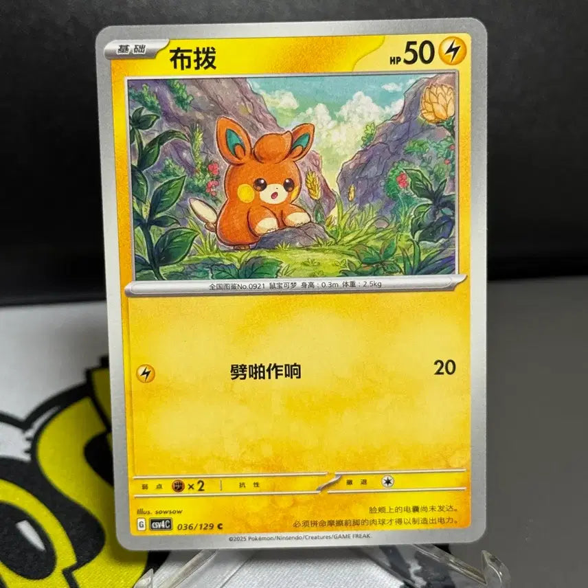 [BUNJANG] Pokemon Card Mid-Print Run Bamo Common Card / 포켓몬카드 중판 빠모 일반 카드