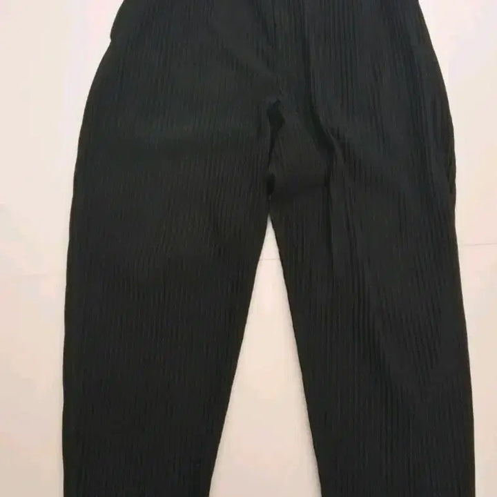 [BUNJANG] Homme Plissé Tapered Fit Pants Size 3 / 옴므플리세 테이퍼드핏 3 사이즈