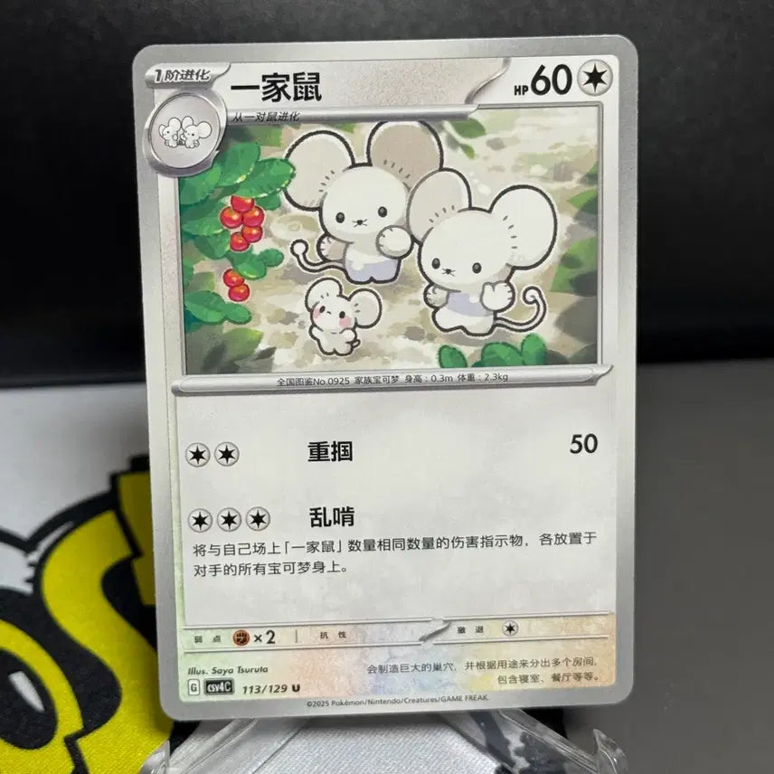 [BUNJANG] Pokemon Card Rattata Normal Card / 포켓몬카드 중판 두리쥐 일반 카드
