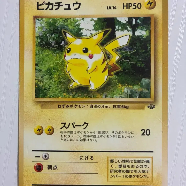 [BUNJANG] Pokemon Jungle Pikachu Card (No. 025, Level 14) / 포켓몬카드 초기 정글 피카츄