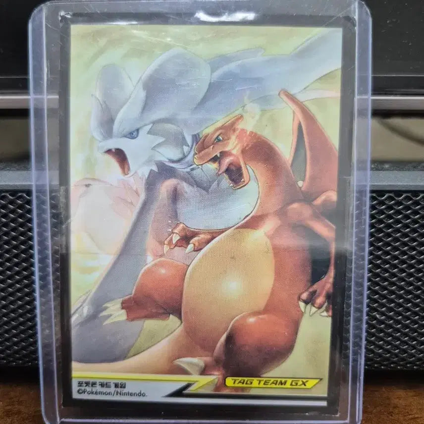 [BUNJANG] Chaeyu Hyper Rare Charizard &amp; Reshiram Sleeves + Toploader Set / 채두 하이퍼레어 리자몽&amp;레시라무 슬리브+탑로더 증정