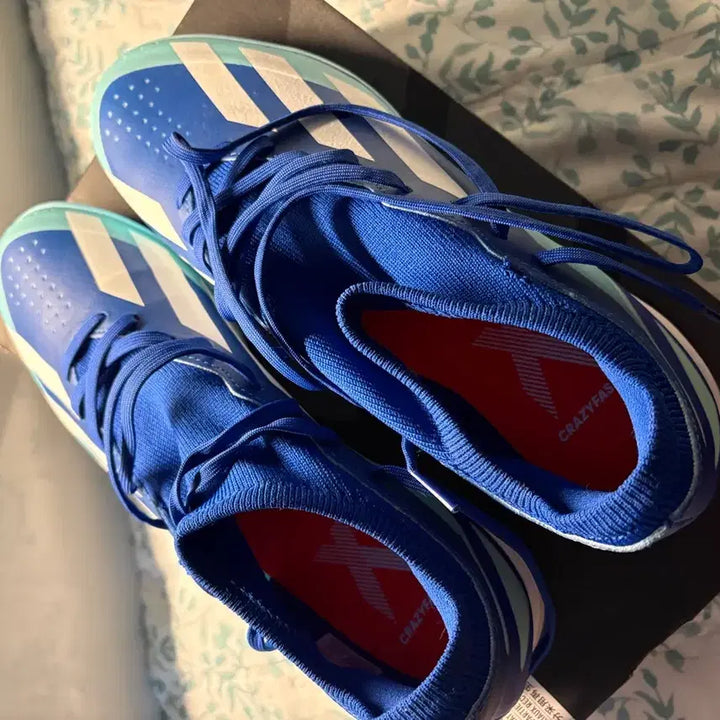 [BUNJANG] Adidas Crazyfast 3 Futsal Shoes (New) / 아디다스 크레이지패스트3 풋살화 사용x 신기만 함