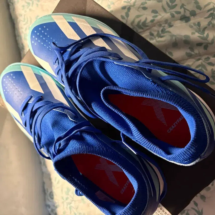 [BUNJANG] Adidas Crazyfast 3 Futsal Shoes (New) / 아디다스 크레이지패스트3 풋살화 사용x 신기만 함