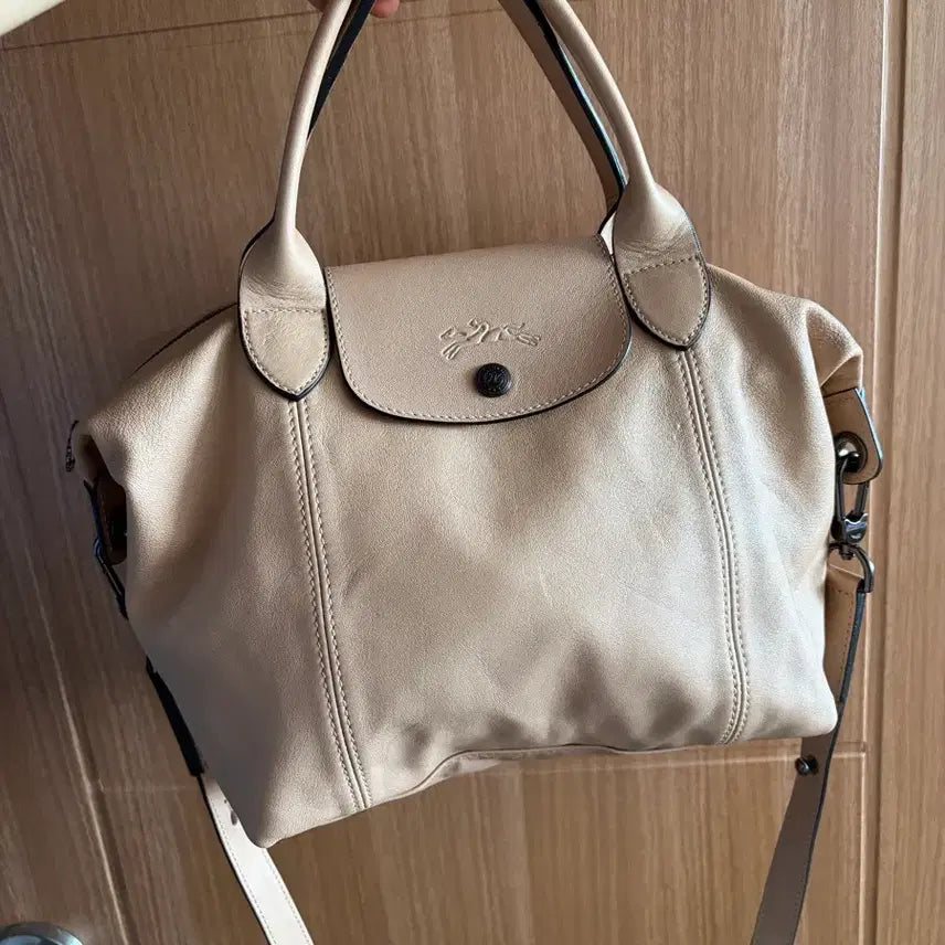 [BUNJANG] Longchamp Le Pliage Leather Tote Bag / 롱샴 르플리아쥬 레더 가방 토트백