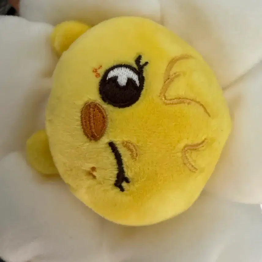 [BUNJANG] SKZOO Japan MD Pencil Case / 스키주 일본 엠디 뽁아리 필통 펜슬 케이스