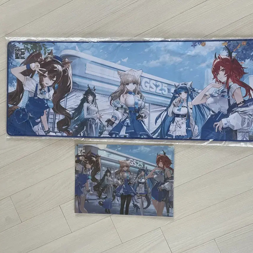 [BUNJANG] Arknights Endfield Deskmat &amp; Clear File Bundle / 명일방주 엔드필드 ( GS장패드 / 클리어파일 )