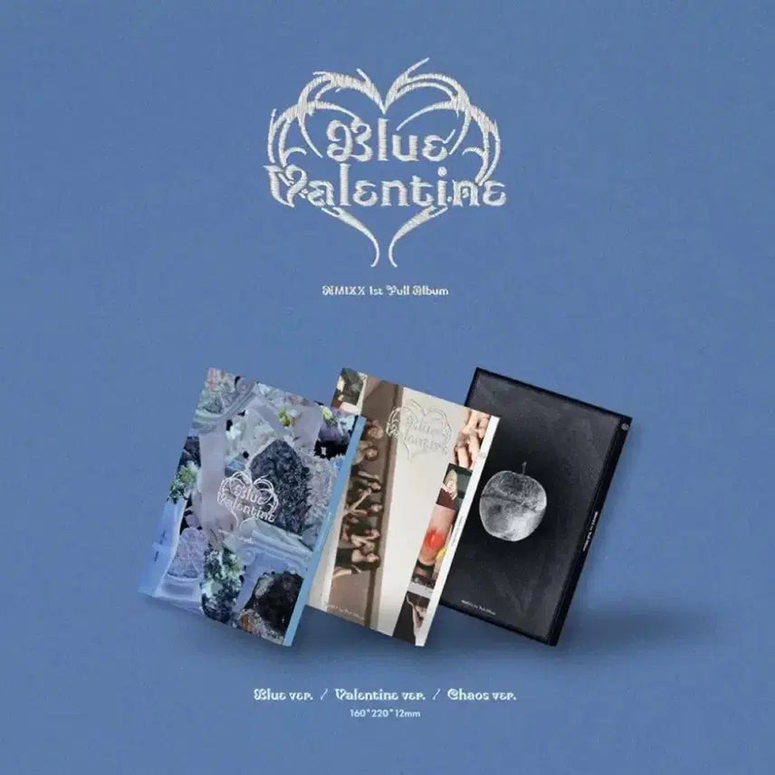 [BUNJANG] Blue Valentine Album / 블루 발렌타인 앨범