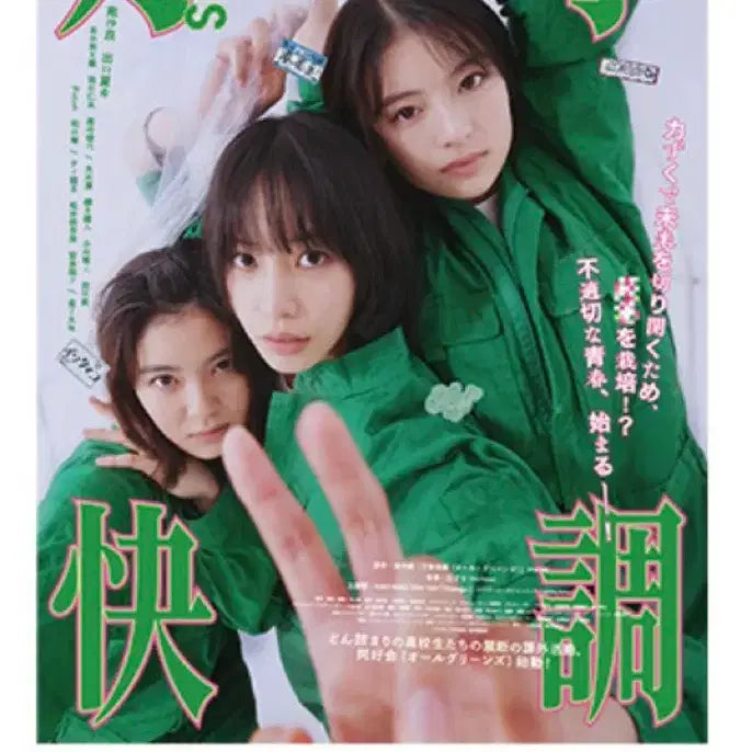 [BUNJANG] ALLGRINS Original Poster A3 / 올그린스 오리지널 포스터 미개봉