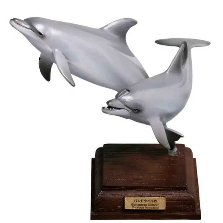 [BUNJANG] Naturecolor Technical Marine 1 Special Edition Dolphin Figure / 네이쳐테크니컬러 해양1 특장판 돌고래