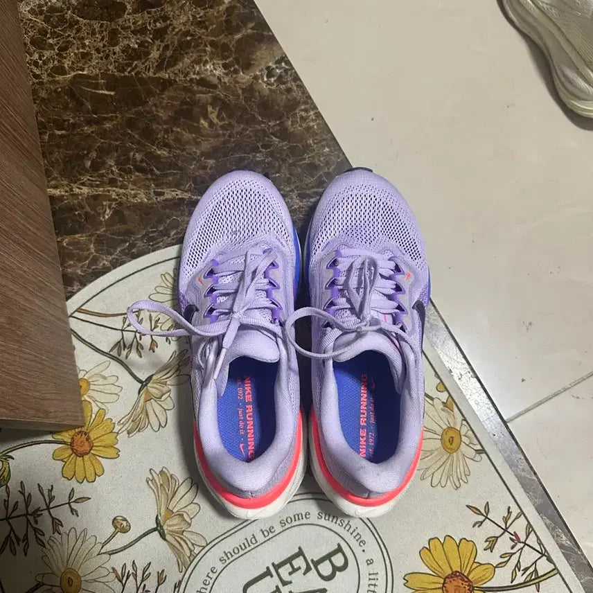[BUNJANG] Nike Pegasus 41 / 나이키 페가수스 41