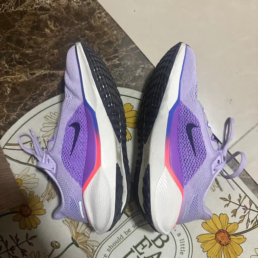 [BUNJANG] Nike Pegasus 41 / 나이키 페가수스 41