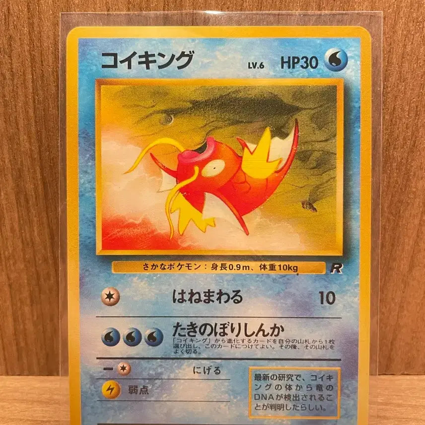 [BUNJANG] Pokemon Magikarp Card (Japanese Edition) / [일판] 포켓몬 카드 잉어킹