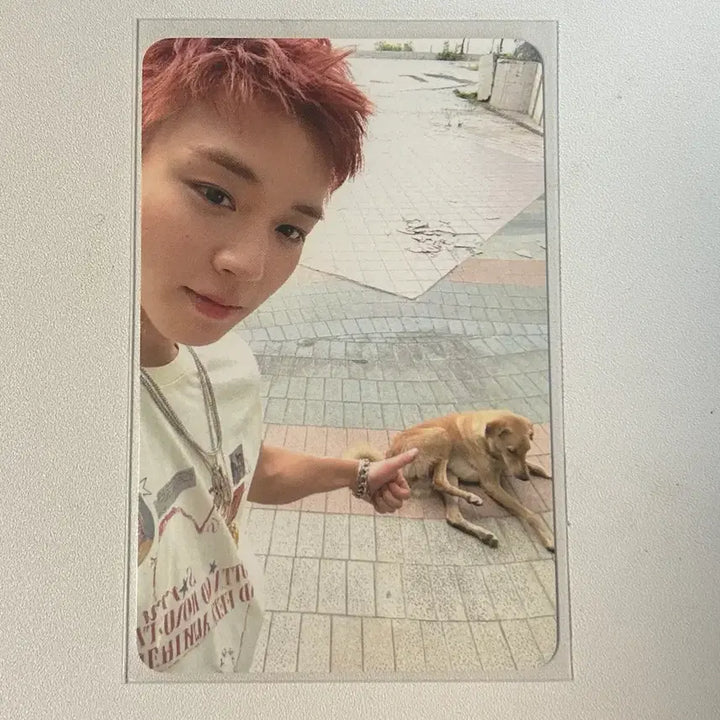 [BUNJANG] Park Ji Hoon Pop-Up Lucky Draw Photocard / 박지훈 팝업 럭드 포카