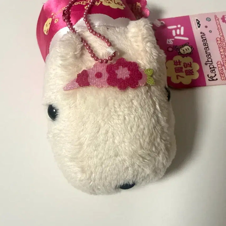 [BUNJANG] Banpresto Capybara-san 7th Anniversary Plush / 반프레스토 카피바라상 7주년 인형