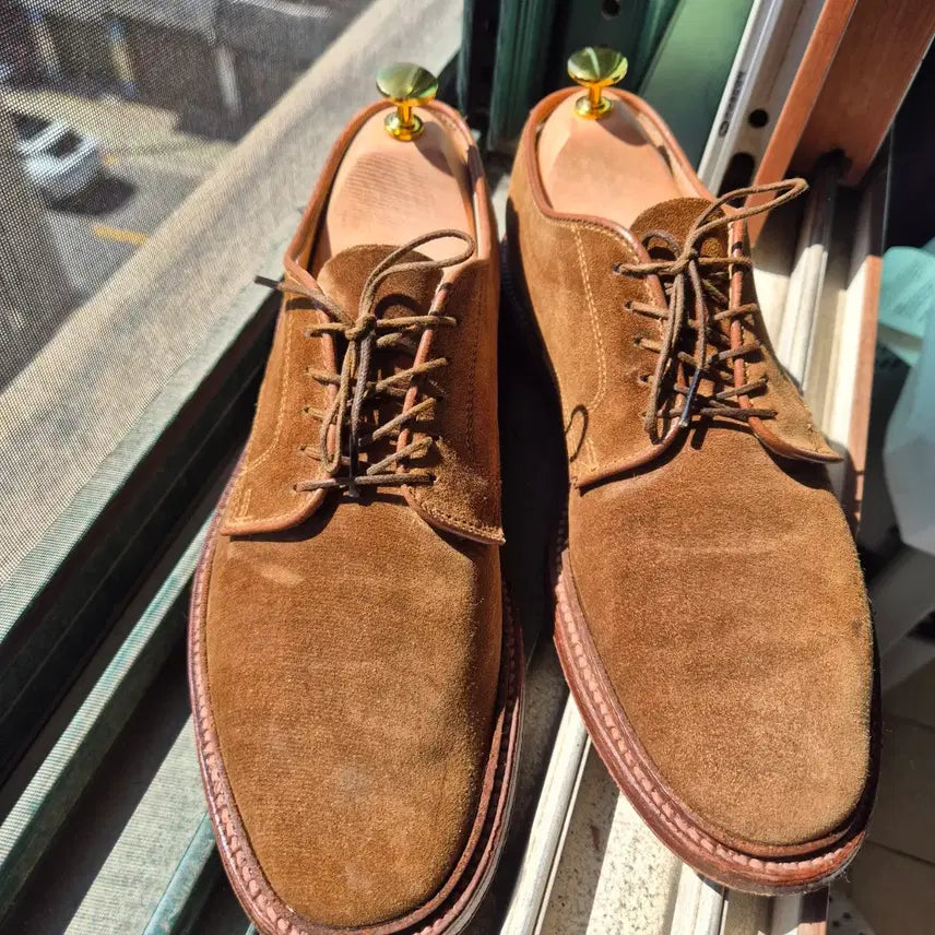 [BUNJANG] Alden 29336F Snuff Suede Derby / 알든 29336f 스너프 스웨이드 더비 8e