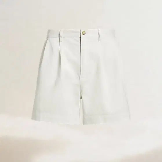 [BUNJANG] Polo Ralph Lauren Cormac Pleated Shorts Size 33 / 폴로랄프로렌 코막 반바지 플리츠 쇼츠 / cormac shorts