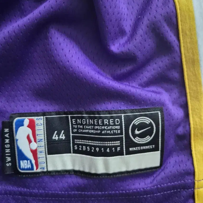 [BUNJANG] Nike LeBron James LA Lakers Swingman Jersey (Size M) / 44 M NBA 나이키 르브론 제임스 LA 레이커스 유니폼 스윙맨 저지