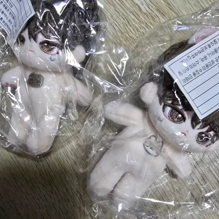[BUNJANG] Debut or Die Park Moon-dae Bae Se-jin Doll Bundle Set / 데못죽 박문대 배세진 인형