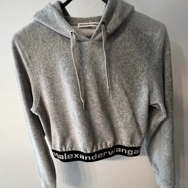 [BUNJANG] Alexander Wang Corduroy Hoodie Gray S / 알렉산더왕 코듀로이 후드(그레이)