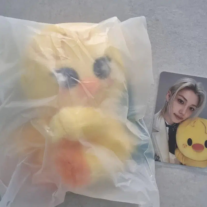 [BUNJANG] Stray Kids SKZOO Ppokari Felix POB Plush / 스트레이키즈 스키주 뽁아리 필릭스 특전 포함