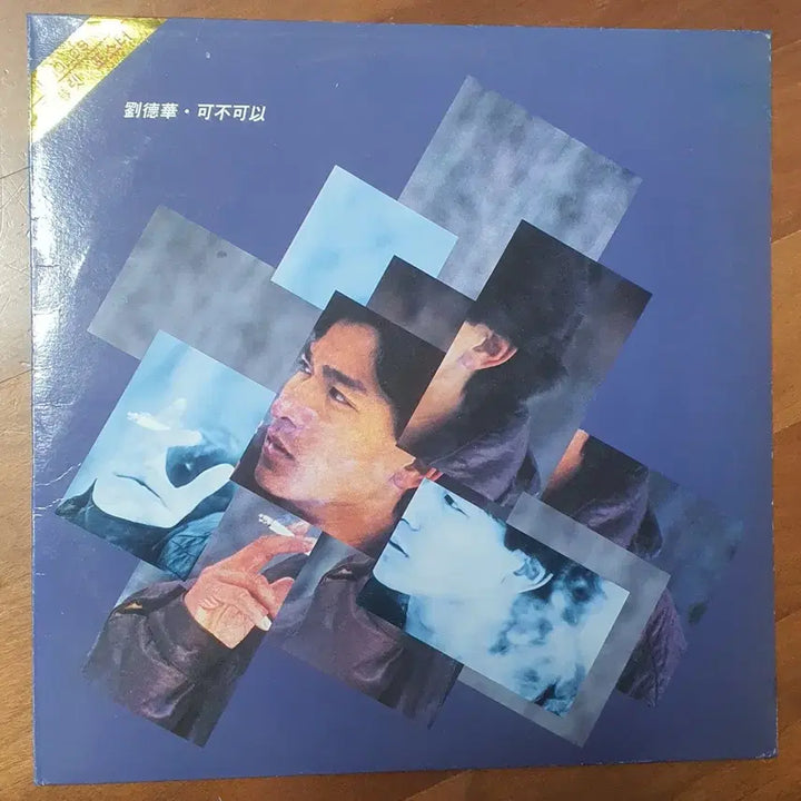 [BUNJANG] Andy Lau Faa Gor Faa Gai LP / 유덕화 가불가이lp. nm