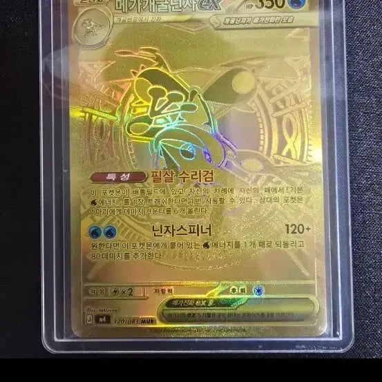 [BUNJANG] Pokemon Card Mega Blastoise EX / 포켓몬 카드 메가개굴닌자 EX MUR