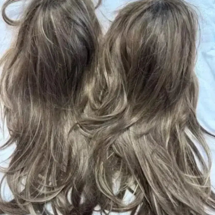 [BUNJANG] Layered Cut Wig / 통가발 레이어트컷