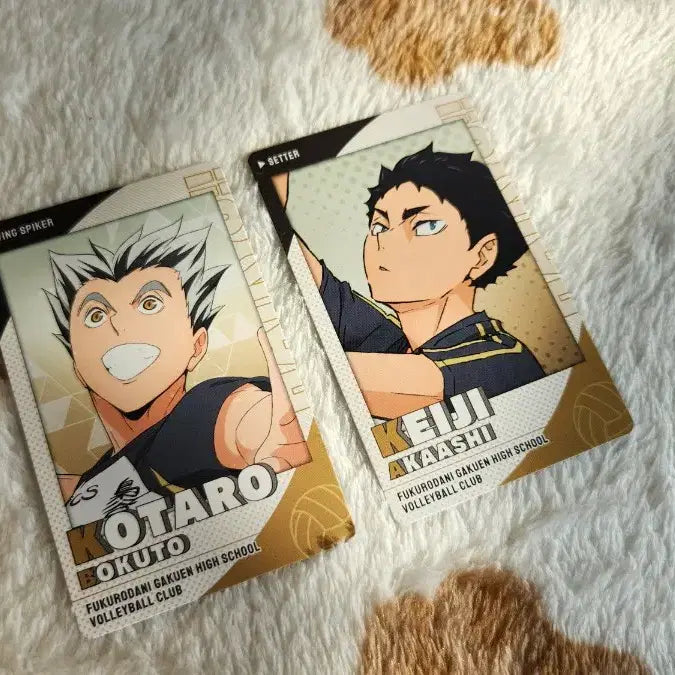 [BUNJANG] Haikyuu!! Bokuto Koutarou &amp; Akaashi Keiji Snap Card Bundle Set / 하이큐 보쿠토 아카아시 스냅마이드 스냅카드 일괄