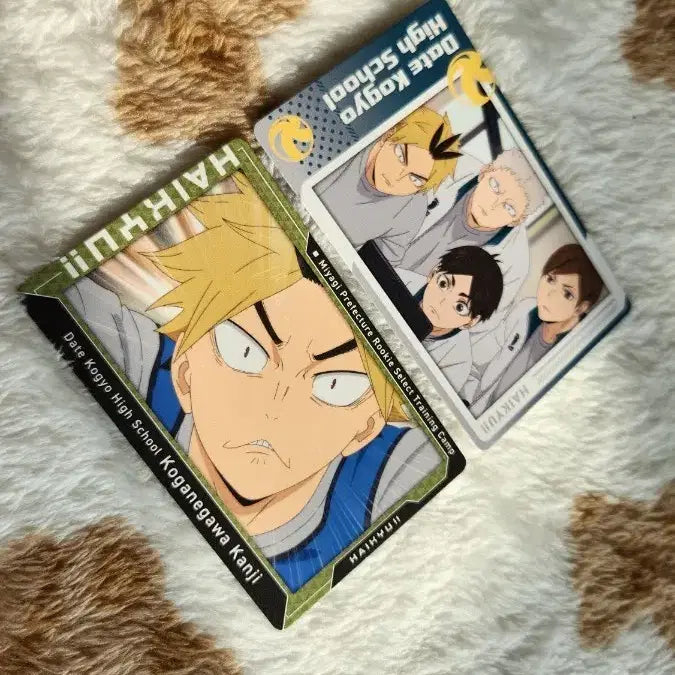 [BUNJANG] Haikyuu!! Koganegawa Kanji Snap Card Bundle Set / 하이큐 다테공고 코가네가와 스냅마이드 스냅카드 일괄