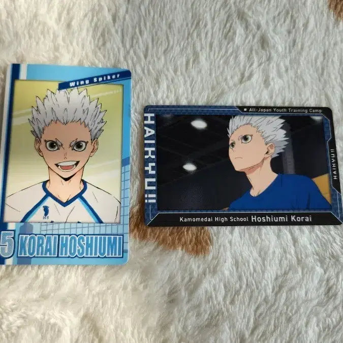 [BUNJANG] Haikyuu!! Kaimodai Hoshiumi Korai Snap Card Bundle / 하이큐 카모메다이 호시우미 코라이 스냅마이드 스냅카드 일괄