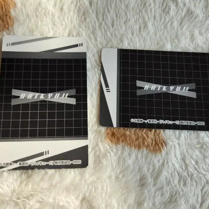 [BUNJANG] Haikyuu!! Kaimodai Hoshiumi Korai Snap Card Bundle / 하이큐 카모메다이 호시우미 코라이 스냅마이드 스냅카드 일괄